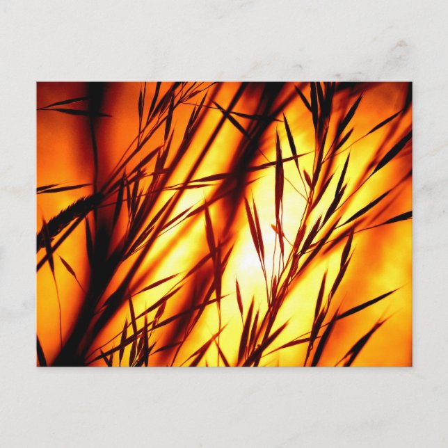 Sunset afterglow postcard (Front)