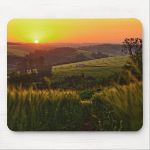 Sunset Agriculture Wheat Mouse Pad