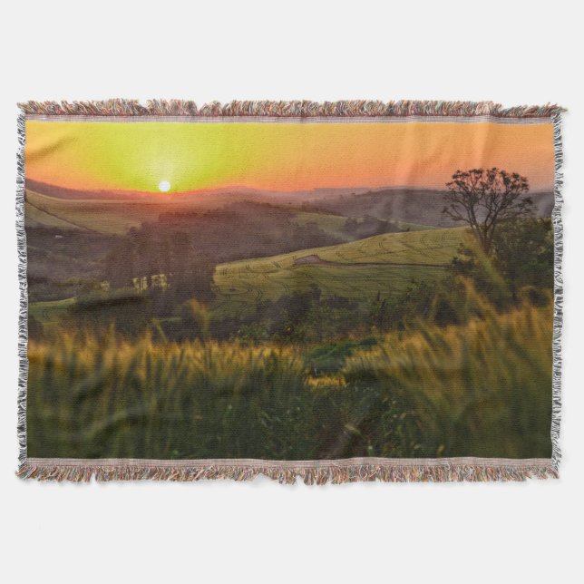 Sunset Agriculture Wheat Throw Blanket (Front)