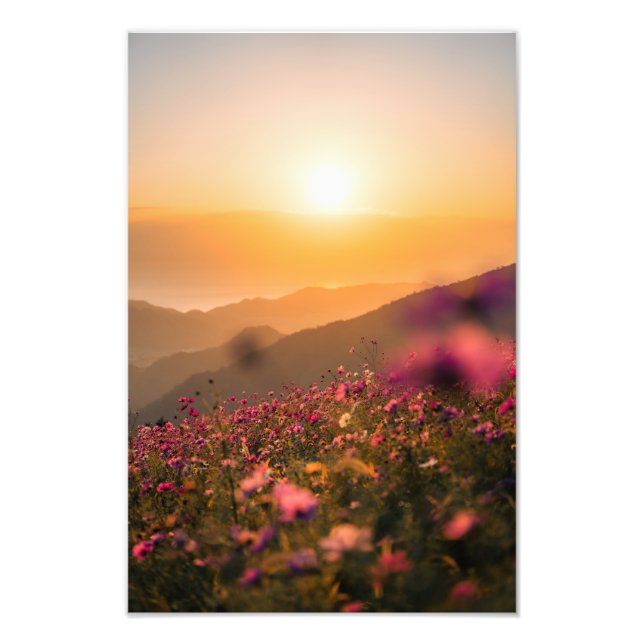Sunset and cosmos photo print (Front)