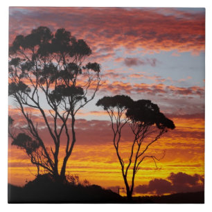 Sunset and Gum Tree, Binalong Bay, Bay of Fires, Ceramic Tile
