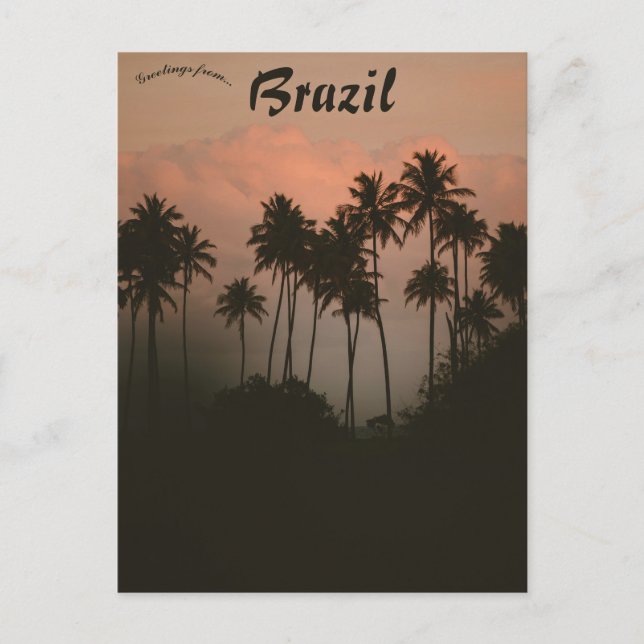 Sunset and Palm Trees in Brazil Postcard (Front)