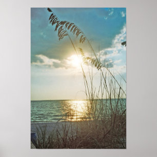 Sunset and sea oats poster