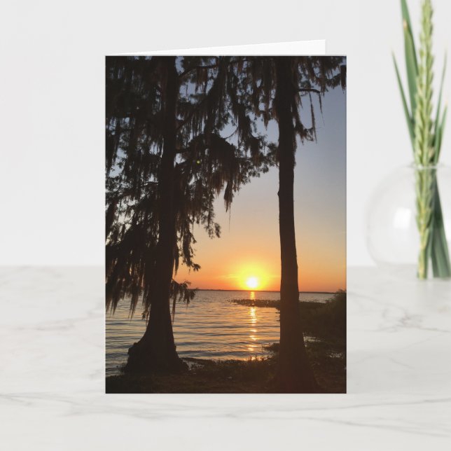 sunset and spanish moss greeting card #2 (Front)