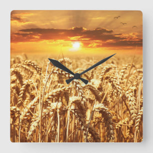 Sunset and Wheat Field Square Wall Clock
