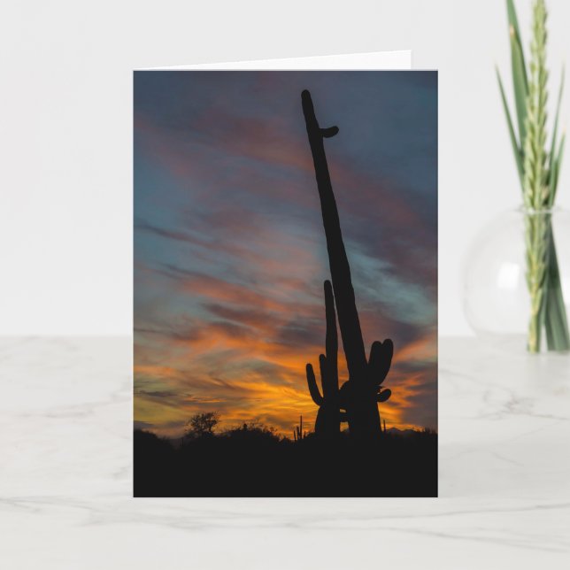 Sunset Arizona Greeting Card Saguaros Friends (Front)