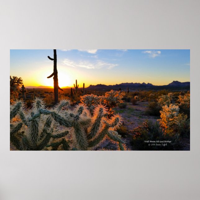 Sunset Arizona Sonoran Desert with saguaro cactus Poster (Front)