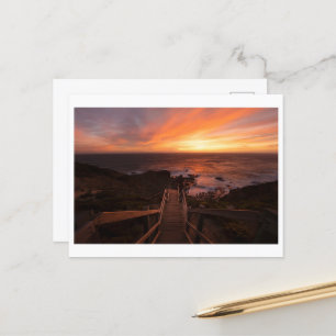 Sunset At Cape Schanck  Postcard
