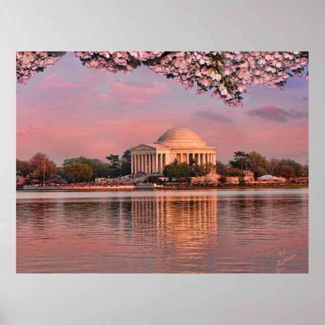 Sunset at Jeferson Memorial with Cherry Blossoms Poster (Front)