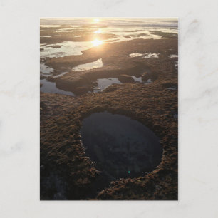 Sunset at La Jolla Tide Pools Postcard