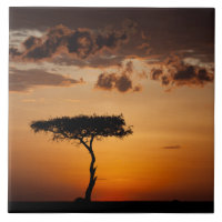 Sunset at Masai Mara
