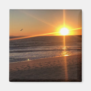 Sunset at Newport Beach, California Magnet