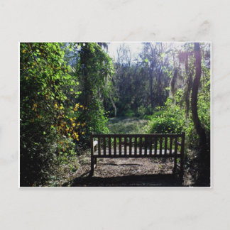 Sunset at Phinizy Swamp Park Augusta, GA Postcard