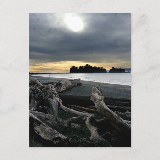Sunset at Ruby Beach Olympic National Park Postcard (Front)
