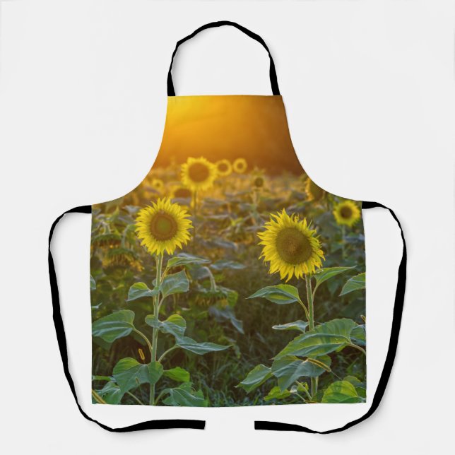 Sunset At Sunflower Field Apron (Front)