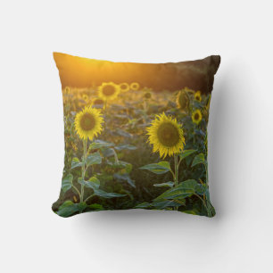 Sunset At Sunflower Field Cushion