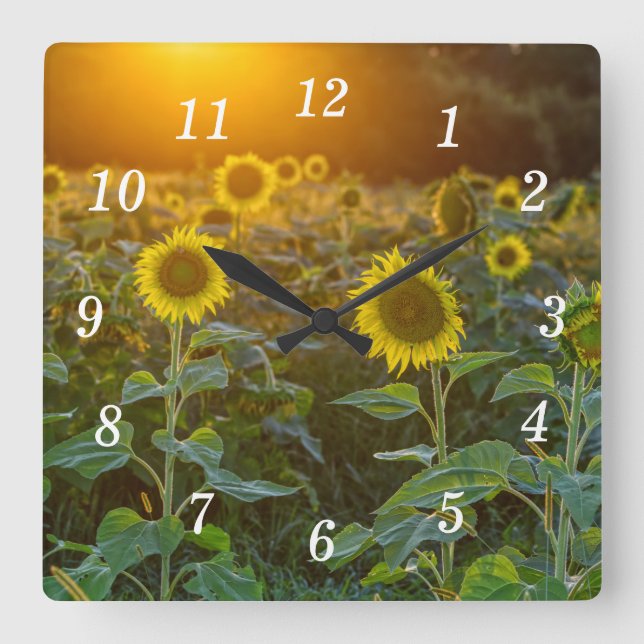 Sunset At Sunflower Field Wall Clock (Front)