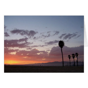 sunset at the beach.