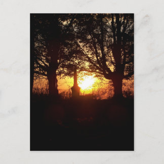 Sunset at the Cemetery Postcard