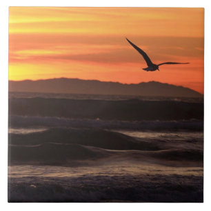 Sunset Beach Home Tile