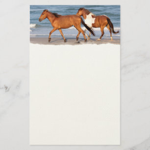 Sunset Beach Horse Stationery
