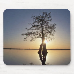 Sunset Behind a Tree Mouse Pad