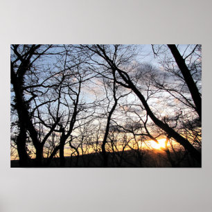 Sunset behind the trees poster