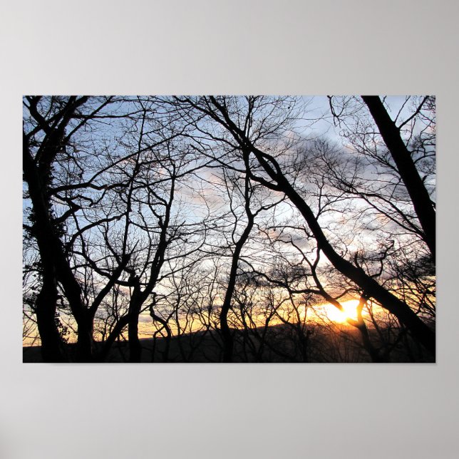 Sunset behind the trees poster (Front)