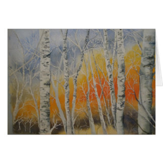 Sunset Birch Trees