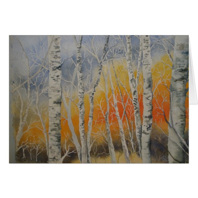 Sunset Birch Trees (Front Horizontal)