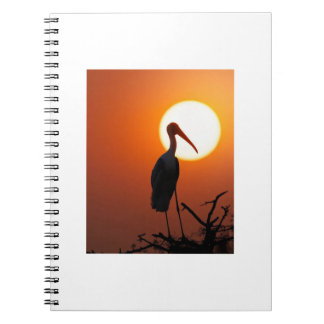 Sunset Bird on Branch – Nature Wall Art Notebook