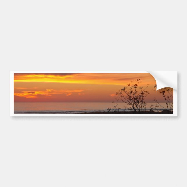 Sunset Bumper Sticker (Front)