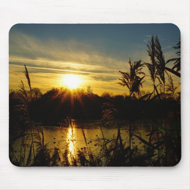 Sunset by a pond with reed plumes. mouse pad (Front)