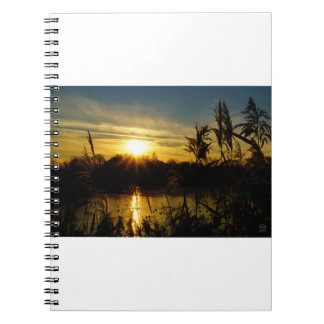 Sunset by a small lake with reed plumes. notebook