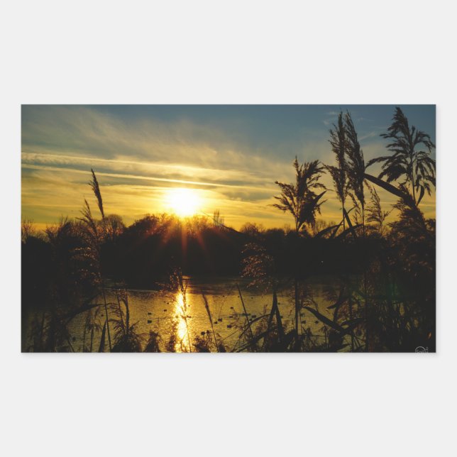 Sunset by a small lake with reed plumes. rectangular sticker (Front)