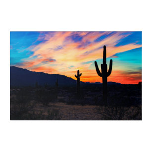 Sunset Cactus Desert Dusk Acrylic Print
