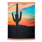 Sunset Cactus Desert Dusk