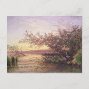 Sunset, Camargue Postcard