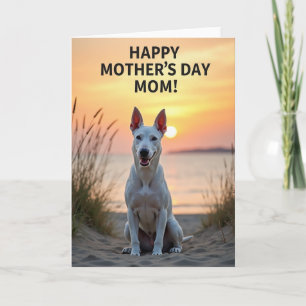 Sunset Canine Scene Card