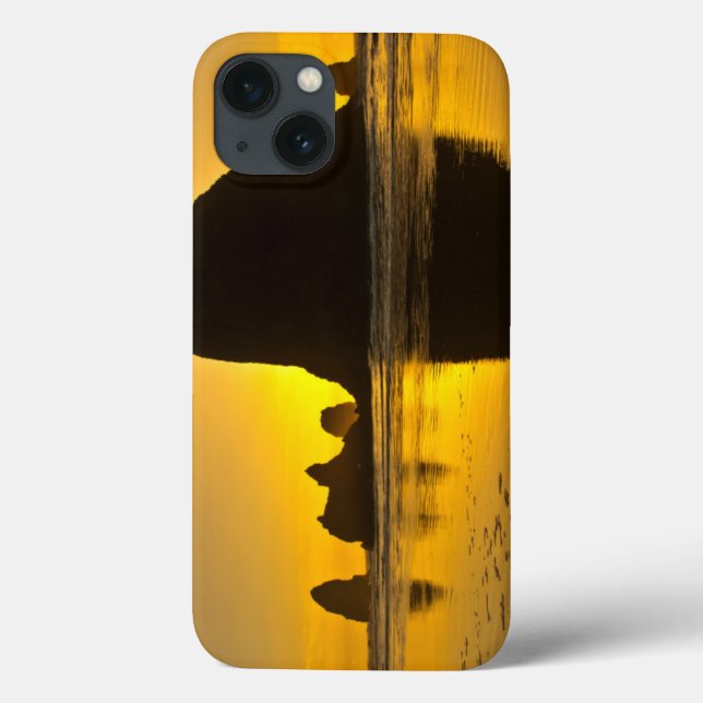 Sunset, Cannon Beach, Oregon, USA Case-Mate iPhone Case (Back)