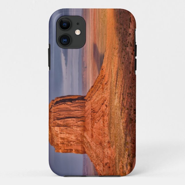 Sunset Case-Mate iPhone Case (Back)