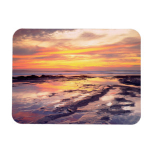 Sunset Cliffs tide pools Magnet