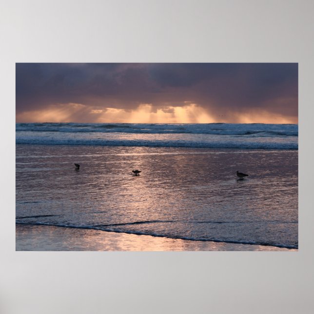 Sunset Coast Beach Birds Nature Photo Poster (Front)