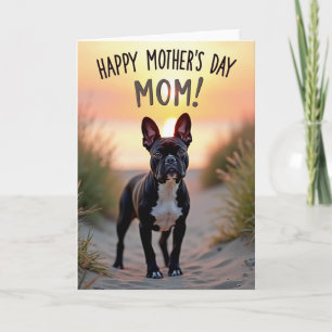 Sunset Companion Dog Card