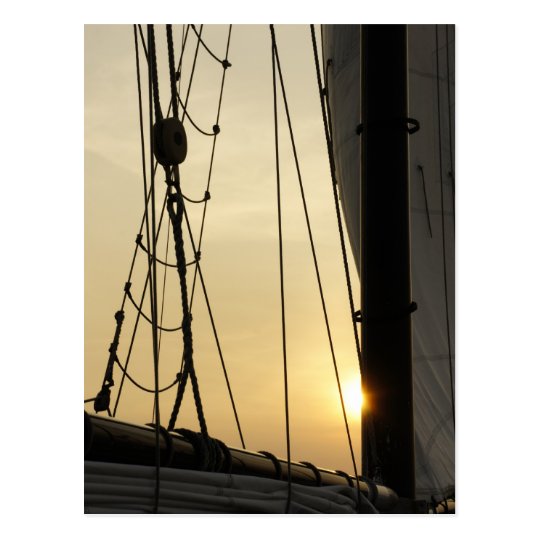 Sunset Cruise Postcard