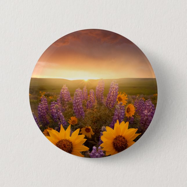 Sunset Daisies 6 Cm Round Badge (Front)