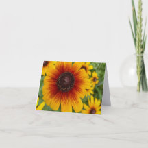 Sunset Daisy Folded Note Card