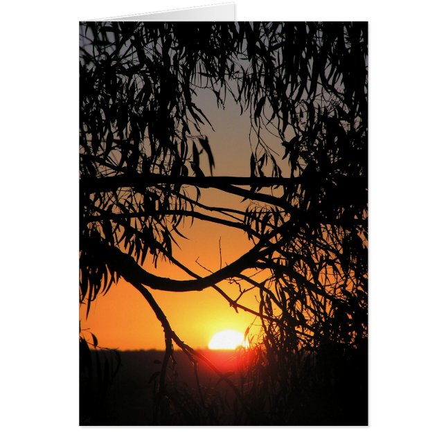 Sunset Darkness Card (Front)