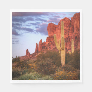 Sunset Desert Arizona State Napkin