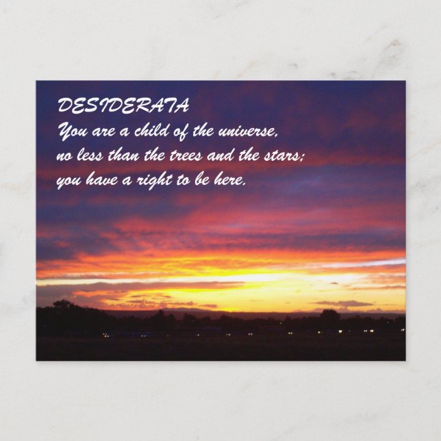 Sunset DESIDERATA Postcard (Front)